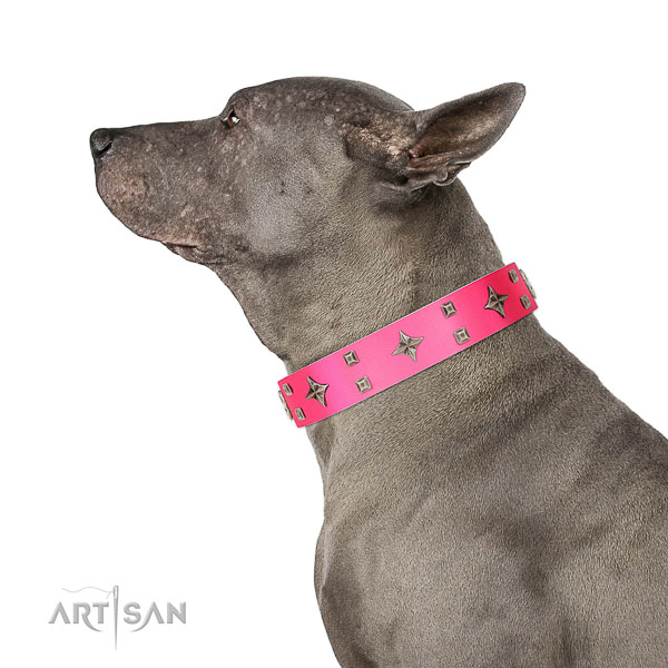 Unusual genuine leather collar with adornments for your four-legged friend