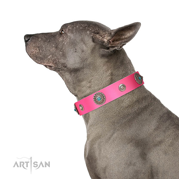 Flexible full grain natural leather collar with decorations for your canine
