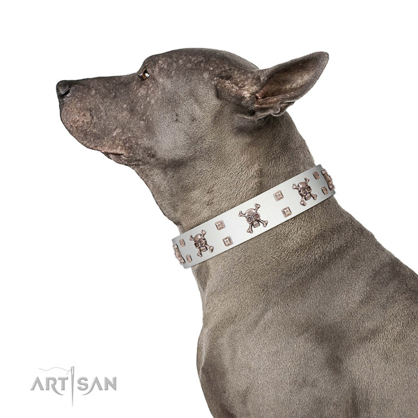 Leather dog collar with sturdy buckle for reliable canine handling