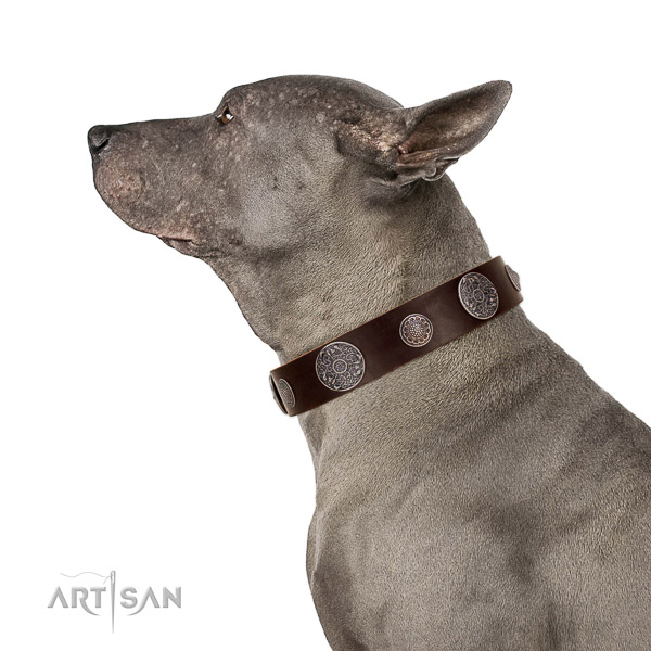 Leather dog collar with non-rusting buckle for safe pet control