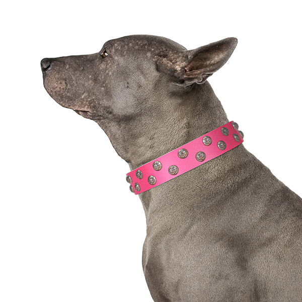 Stylish design natural genuine leather dog collar with corrosion resistant fittings
