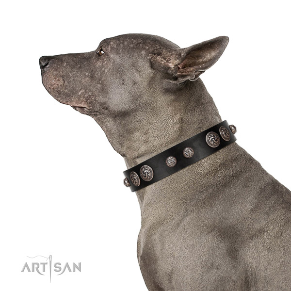 Everyday use gentle to touch full grain natural leather dog collar with decorations