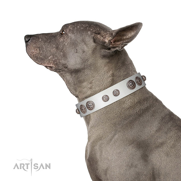 Convenient dog collar handcrafted for your stylish pet