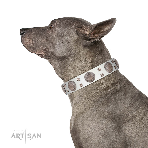 Comfortable wearing quality natural leather dog collar with adornments