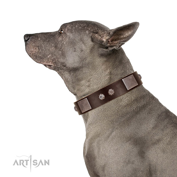 Gentle to touch full grain genuine leather dog collar with corrosion proof buckle