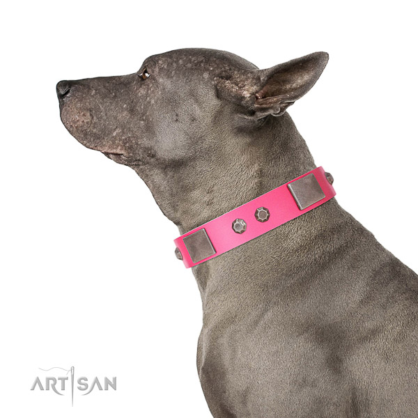 Easy adjustable natural leather collar with embellishments for your doggie