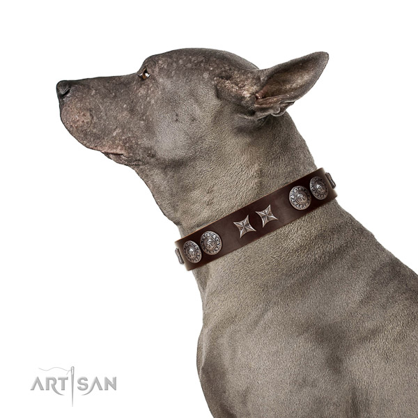 Comfortable wearing flexible leather dog collar with embellishments