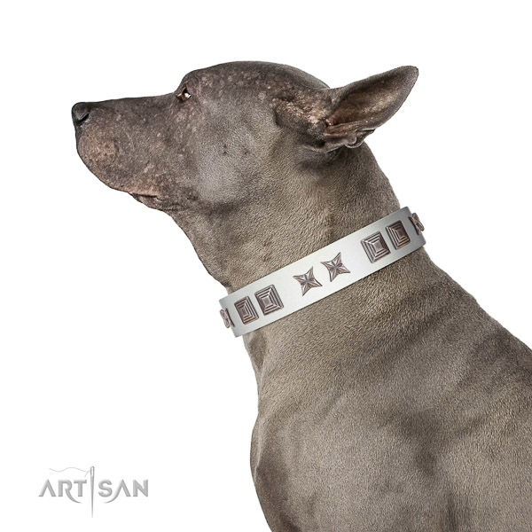 Full grain leather dog collar with designer decorations handcrafted four-legged friend