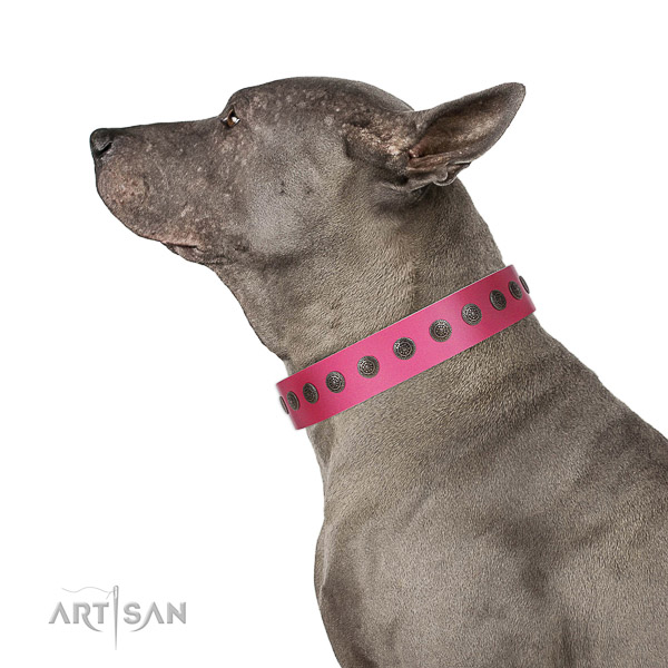 Exquisite natural leather collar for comfortable wearing your doggie