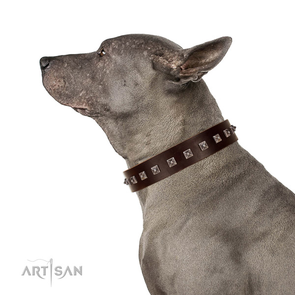 Fashionable decorated full grain genuine leather dog collar