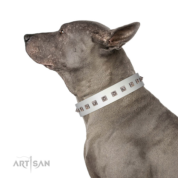 Designer embellished natural leather dog collar
