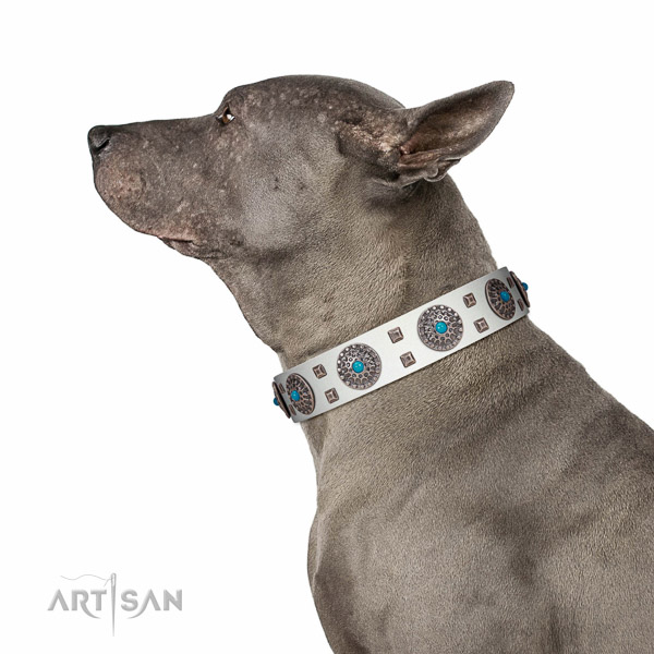Daily use natural leather dog collar with designer decorations