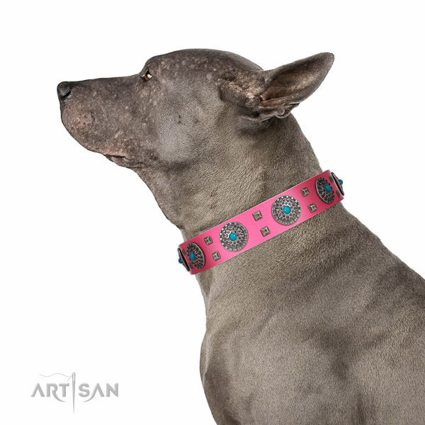 Fancy walking natural leather dog collar with remarkable adornments