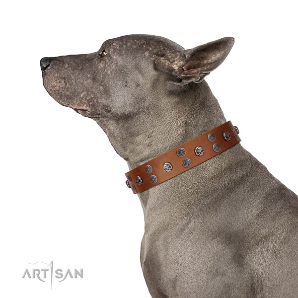 Easy wearing leather dog collar with decorations