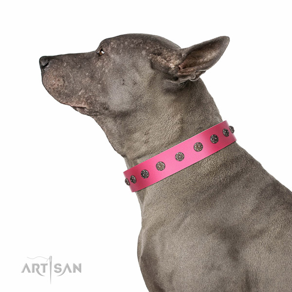 Flexible full grain leather dog collar with embellishments for handy use