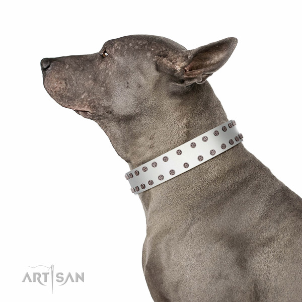 Embellished full grain leather collar for walking your doggie