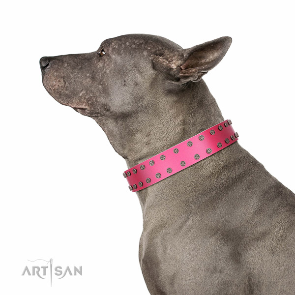 Soft to touch natural leather dog collar with decorations for handy use
