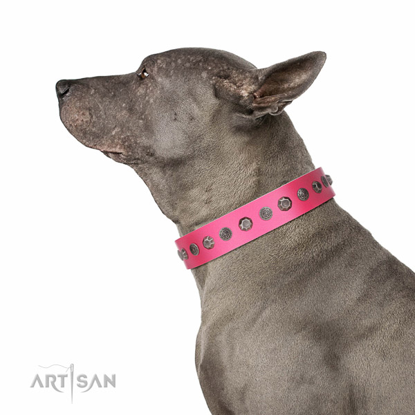 Reliable hardware on full grain genuine leather dog collar for everyday walking your canine