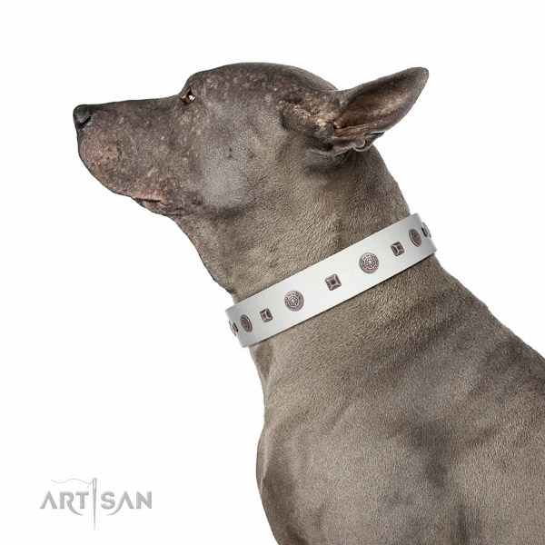 Flexible leather dog collar with studs