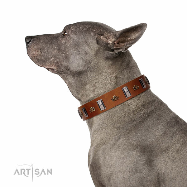 Fine quality genuine leather dog collar with rust resistant D-ring