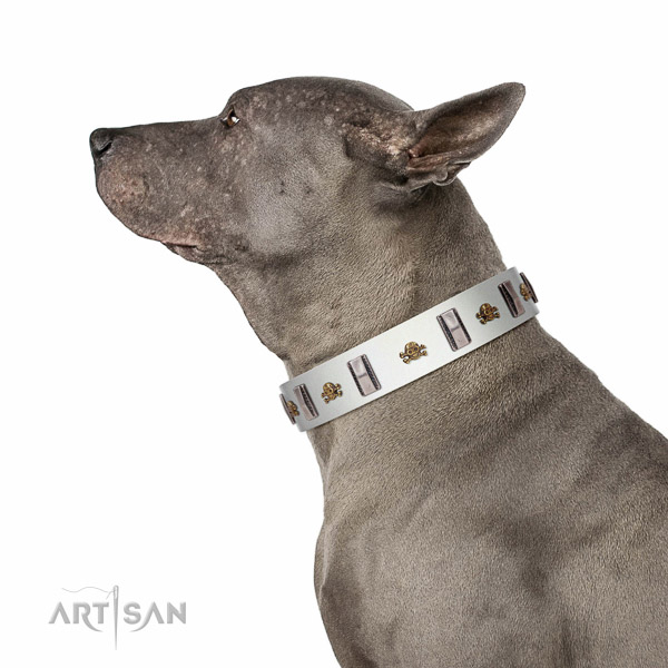 Soft full grain genuine leather dog collar made for your four-legged friend