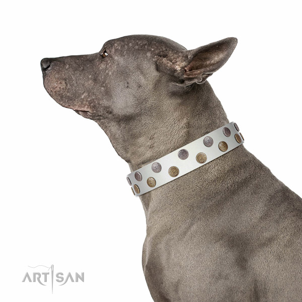Soft natural leather dog collar with studs for stylish walking