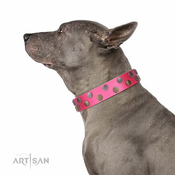High quality full grain genuine leather dog collar with adornments for comfortable wearing