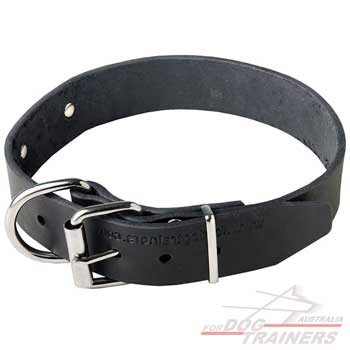 Reliable walking dog collar