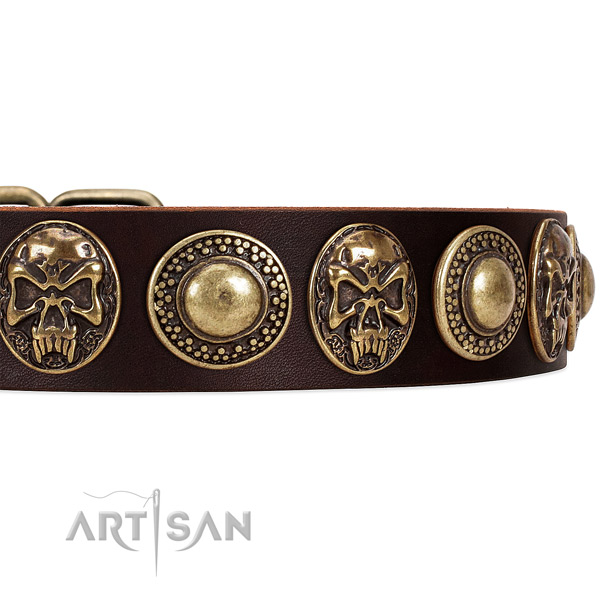 Natural genuine leather dog collar with embellishments for daily walking
