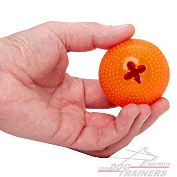 Small Dog Toy for Having Fun