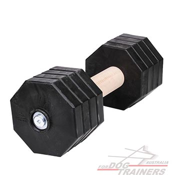 Removable plastic plates for training dog dumbbell