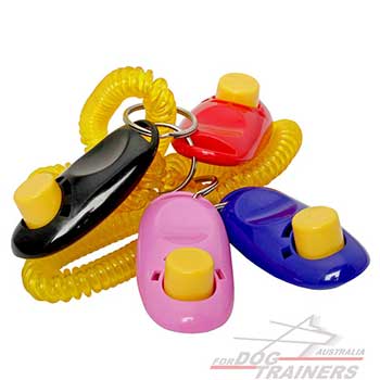 Training Colorful Dog Clickers 