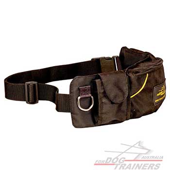  Nylon Pouch with Adjustable Belt