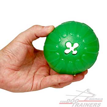 Quality Dog Ball for Pleasant Mealtimes