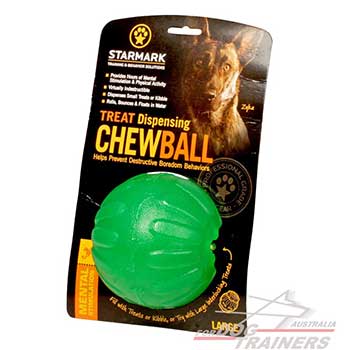 Dog Ball for Treat Dispensing