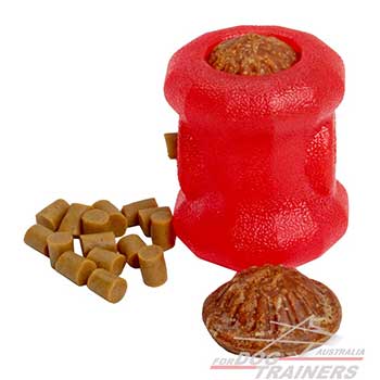 Special Rubber Dog Chew Treat Holder