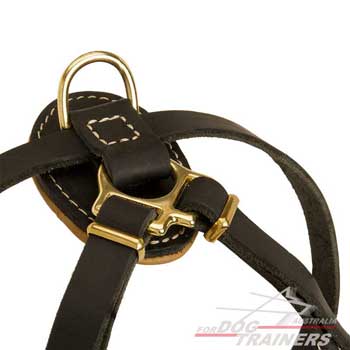D-Ring Attached To Leather Puppy Harness