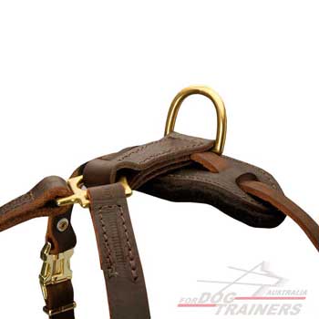 D-Ring for Leash Leather Tracking Harness Dog Walking