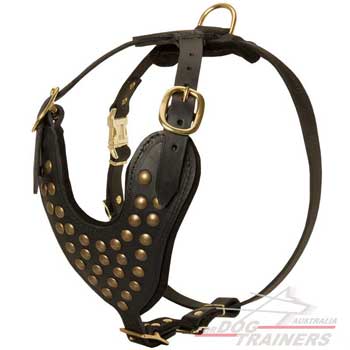 Dog Leather Harness Safe and Confortable