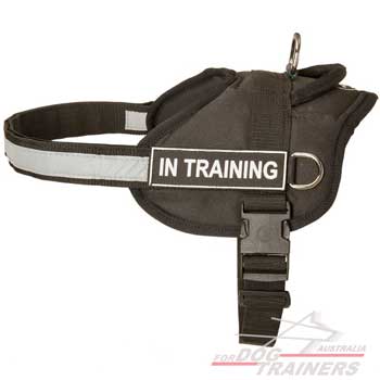 Nylon dog harness with useful id patches and comfortable quick-release buckle