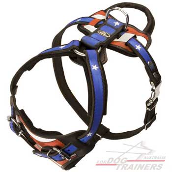 Fashion harness with comfortable handle