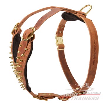 Fabulous Leather Canine Harness Spiked for Walking