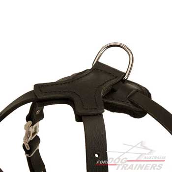 Leather harness with strong hardware and quick release buckle
