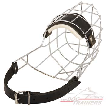 Perfectly ventilated wire cage muzzle