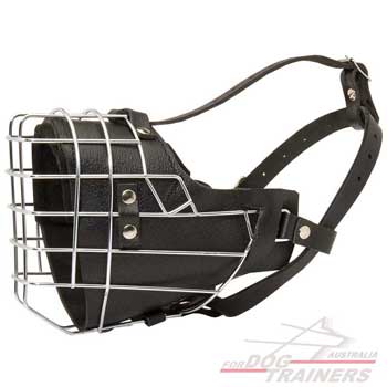 Excellent Leather Canine Muzzle Wire Cage Padded
