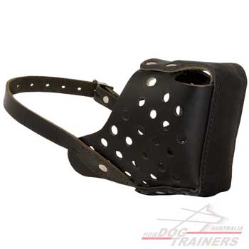 Agitation training muzzle with leather covered steel bar