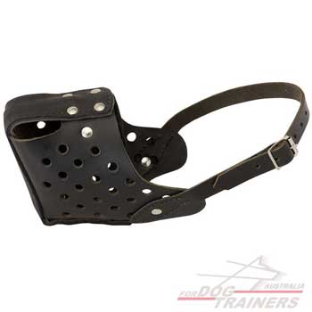 Good air circulation leather muzzle with ventilation holes
