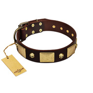 "Heavy Metal" FDT Artisan Brown Leather dog Collar with Old Bronze-like Skulls and Plates