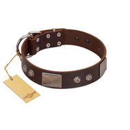 "Stone Stars" Stylish Handmade FDT Artisan Brown Leather dog Collar