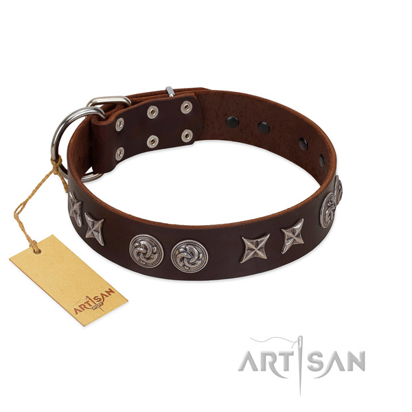 Incredible genuine leather dog collar for daily walking